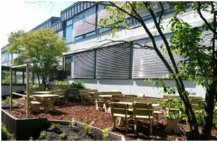 Unser Grünes Klassenzimmer